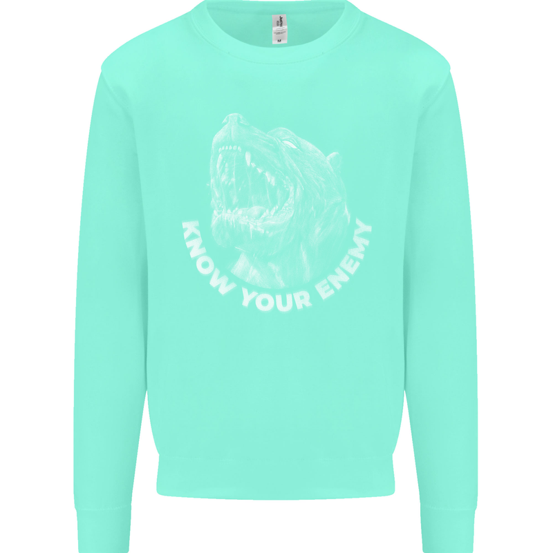 Know Your Enemy Staffy Staffordshire Terrier Kids Sweatshirt Jumper Peppermint