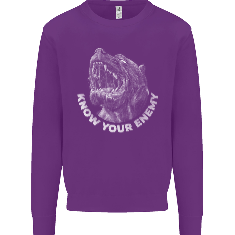 Know Your Enemy Staffy Staffordshire Terrier Kids Sweatshirt Jumper Purple