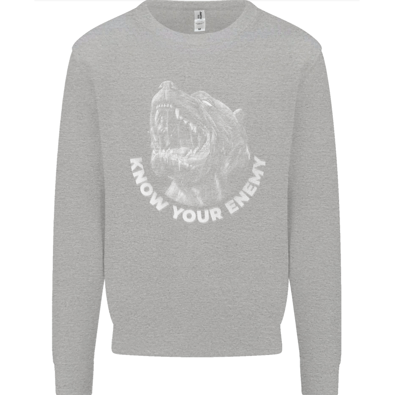 Know Your Enemy Staffy Staffordshire Terrier Kids Sweatshirt Jumper Sports Grey