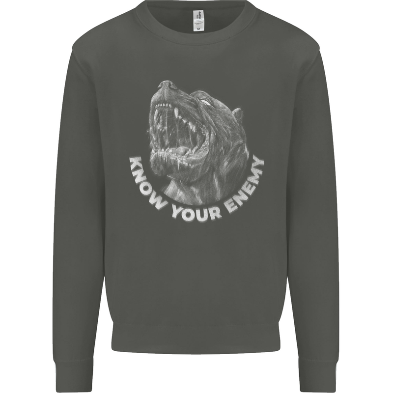 Know Your Enemy Staffy Staffordshire Terrier Kids Sweatshirt Jumper Storm Grey