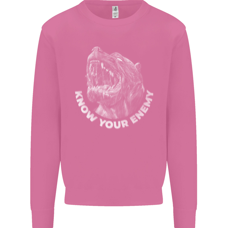 Know Your Enemy Staffy Staffordshire Terrier Mens Sweatshirt Jumper Azalea
