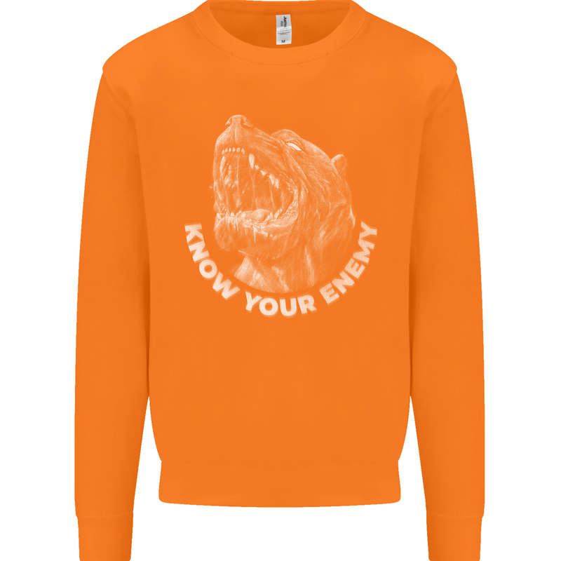 Know Your Enemy Staffy Staffordshire Terrier Mens Sweatshirt Jumper Orange