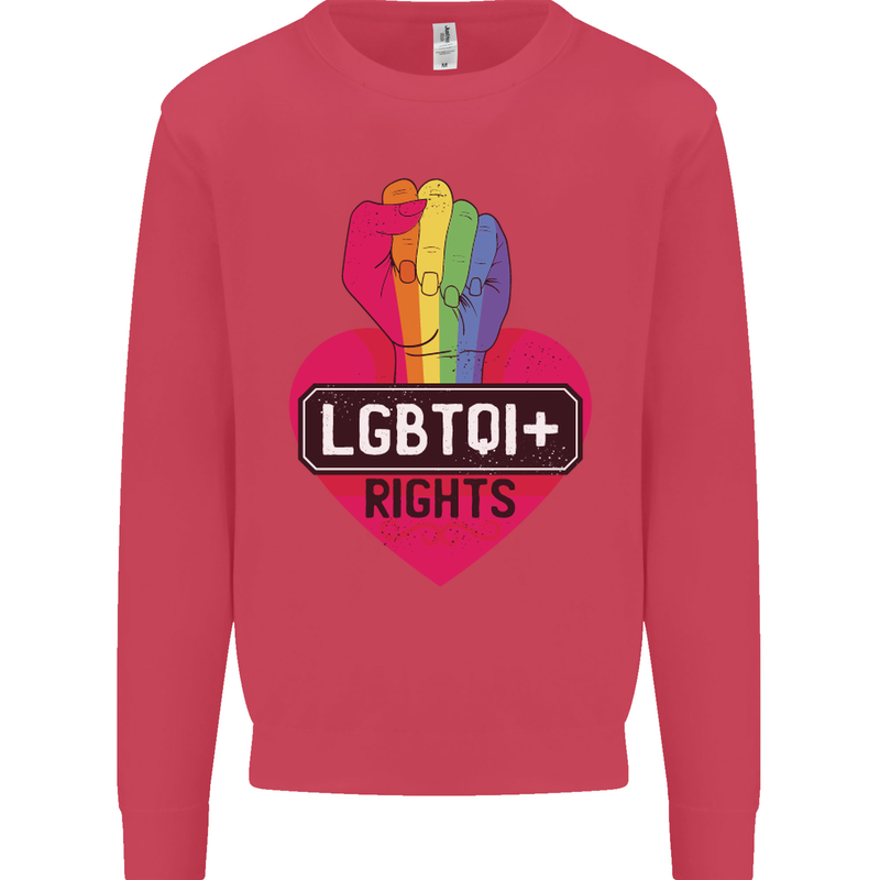 LGBTQI+ Rights Gay Pride Awareness LGBT Kids Sweatshirt Jumper Heliconia