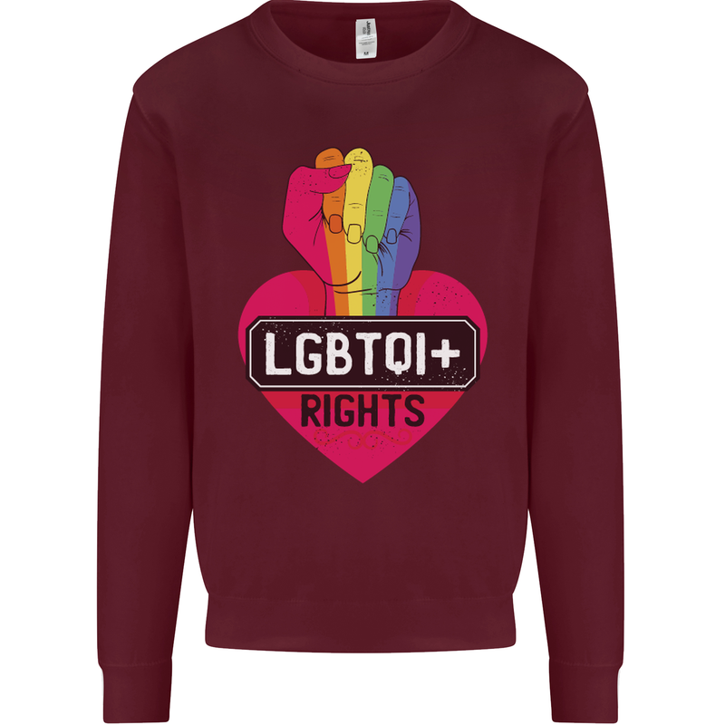 LGBTQI+ Rights Gay Pride Awareness LGBT Kids Sweatshirt Jumper Maroon