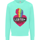 LGBTQI+ Rights Gay Pride Awareness LGBT Kids Sweatshirt Jumper Peppermint