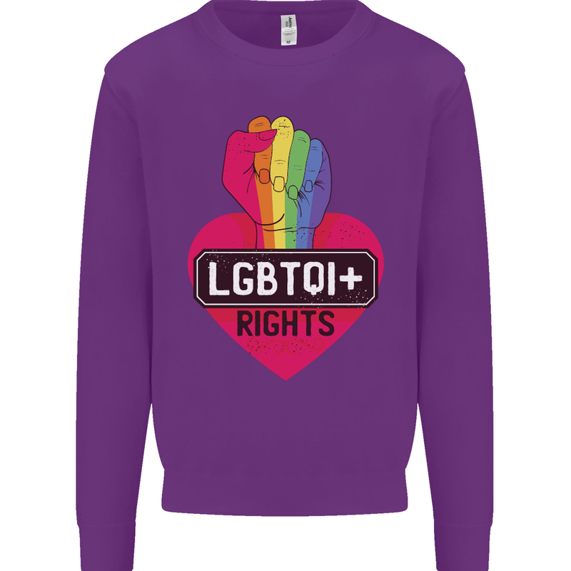 LGBTQI+ Rights Gay Pride Awareness LGBT Kids Sweatshirt Jumper Purple