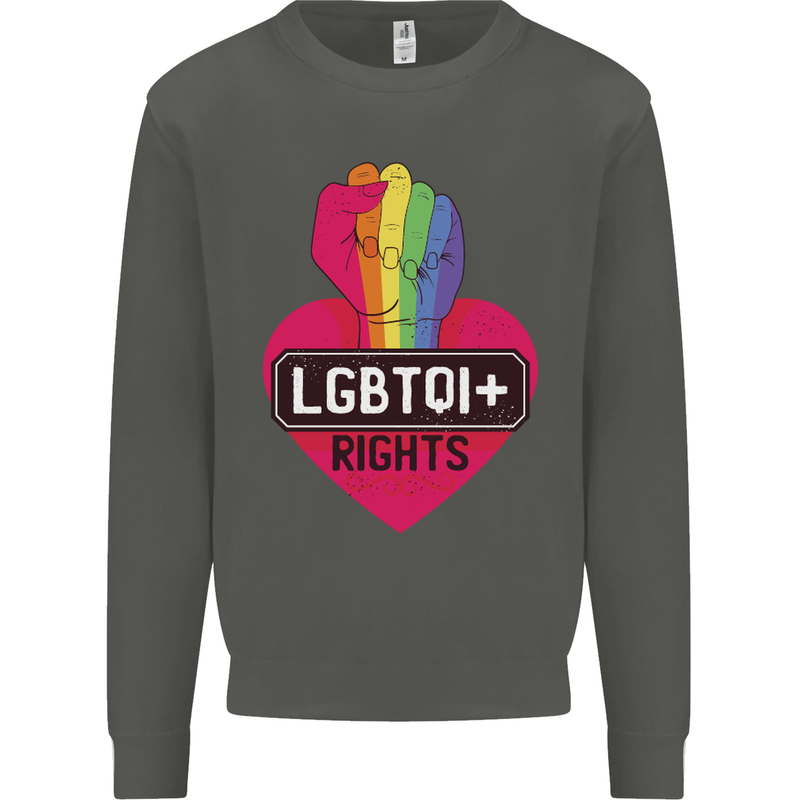 LGBTQI+ Rights Gay Pride Awareness LGBT Kids Sweatshirt Jumper Storm Grey