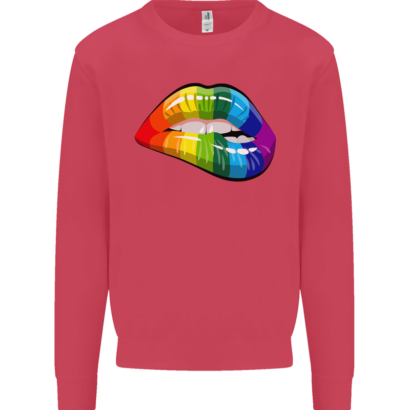 LGBT Bitten Lip Gay Pride Day Kids Sweatshirt Jumper Heliconia
