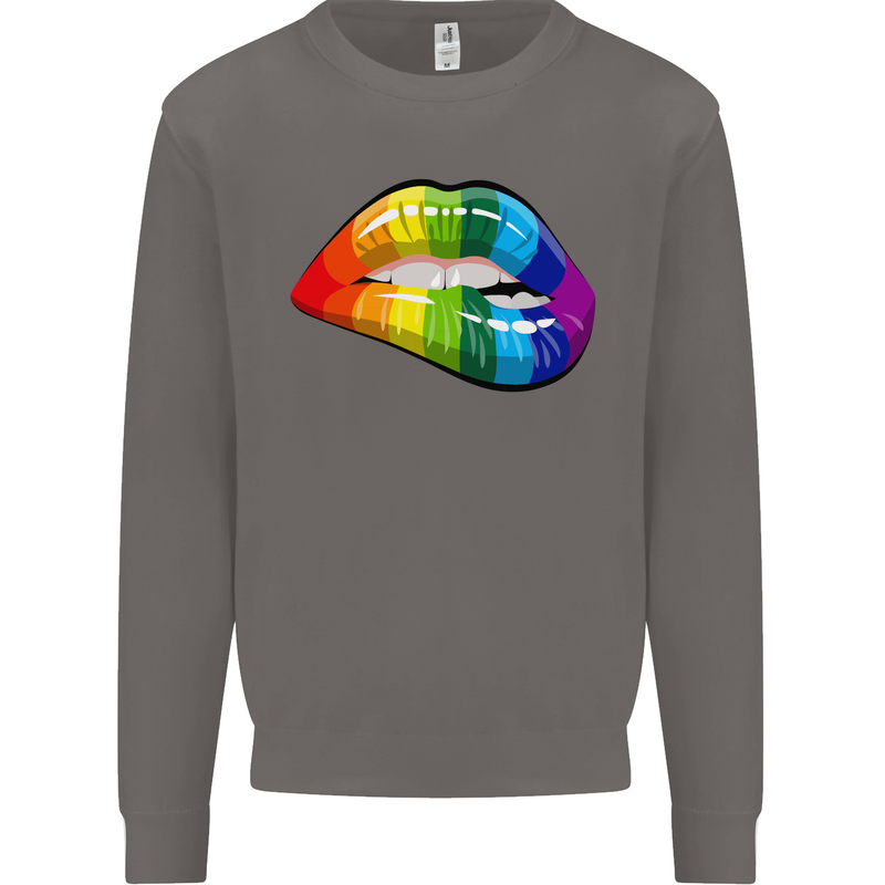 LGBT Bitten Lip Gay Pride Day Mens Sweatshirt Jumper Charcoal