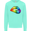 LGBT Bitten Lip Gay Pride Day Mens Sweatshirt Jumper Peppermint