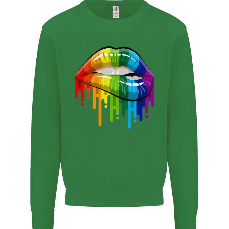 LGBT Bitten Rainbow Lip Gay Pride Day Kids Sweatshirt Jumper Irish Green