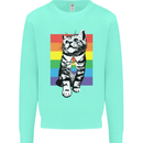 LGBT Cat Gay Pride Day Awareness Mens Sweatshirt Jumper Peppermint