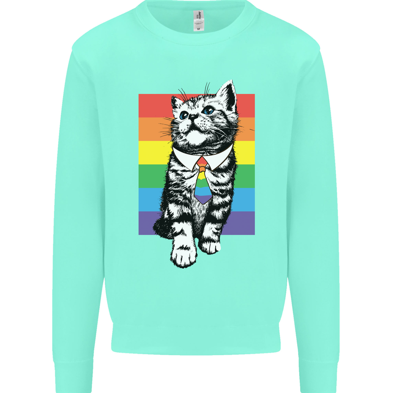 LGBT Cat Gay Pride Day Awareness Mens Sweatshirt Jumper Peppermint