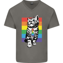 LGBT Cat Gay Pride Day Awareness Mens V-Neck Cotton T-Shirt Charcoal