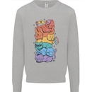 LGBT Cats Kids Sweatshirt Jumper Sports Grey