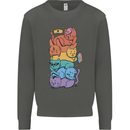 LGBT Cats Kids Sweatshirt Jumper Storm Grey