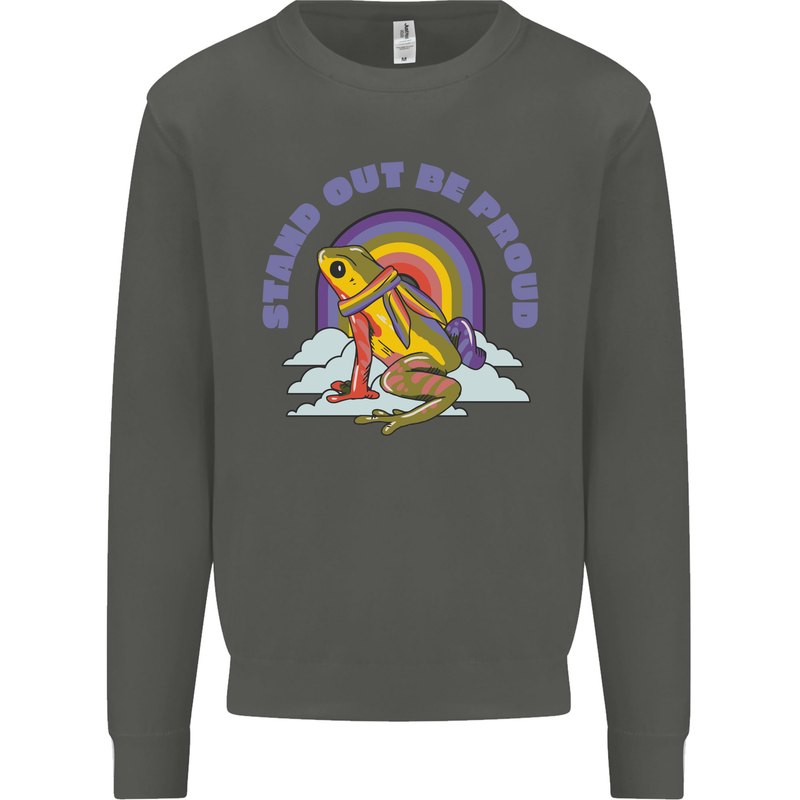 LGBT Frog Stand Out to Be Proud Gay Pride Kids Sweatshirt Jumper Storm Grey
