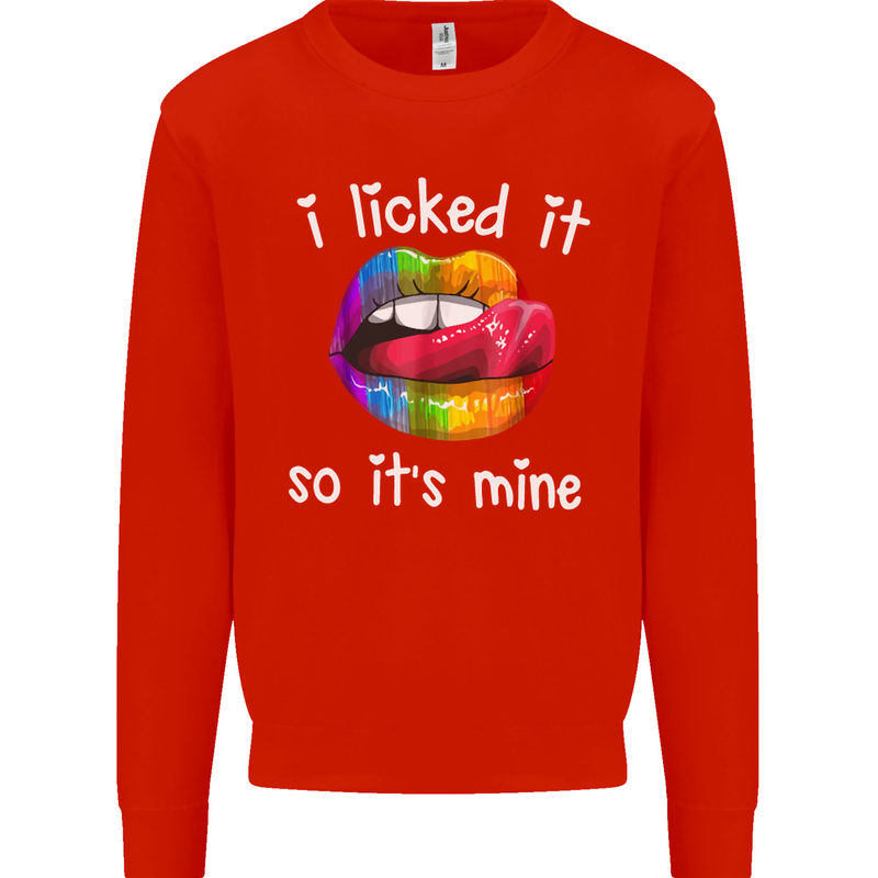 LGBT I Licked it So It's Mine Gay Pride Day Kids Sweatshirt Jumper Bright Red