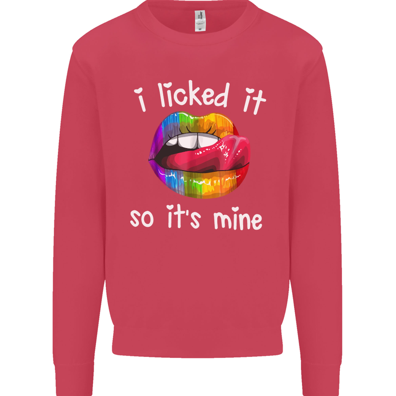 LGBT I Licked it So It's Mine Gay Pride Day Kids Sweatshirt Jumper Heliconia
