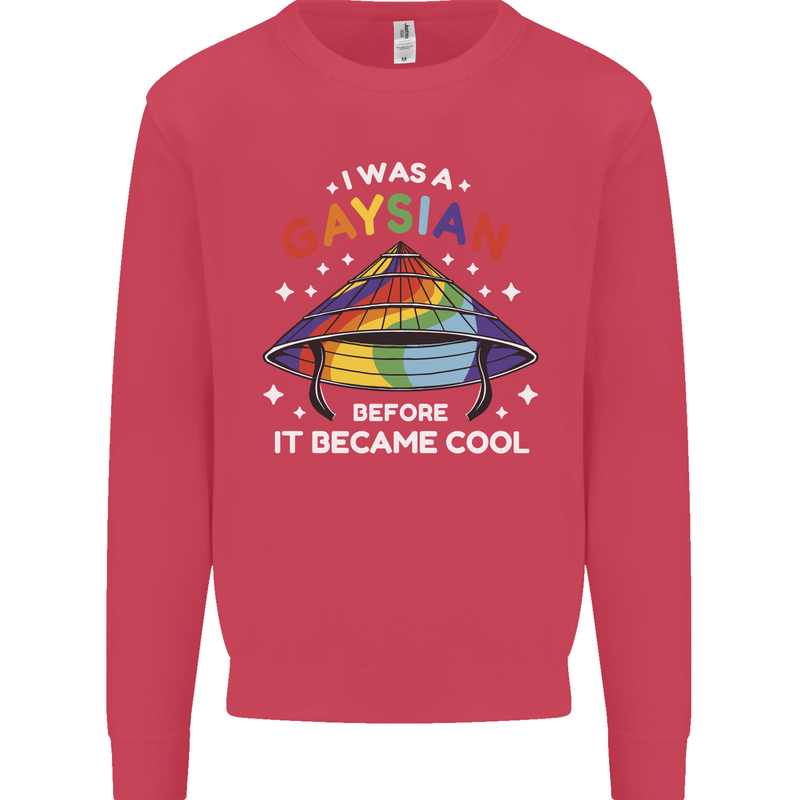 LGBT I Was a Gaysian Before it Came Cool Kids Sweatshirt Jumper Heliconia