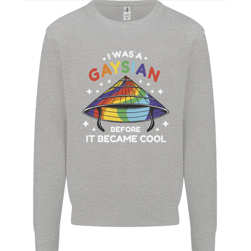 LGBT I Was a Gaysian Before it Came Cool Kids Sweatshirt Jumper Sports Grey