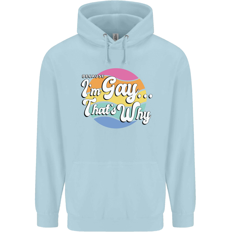 LGBT Im Gay Thats Why Pride Awareness Childrens Kids Hoodie Light Blue