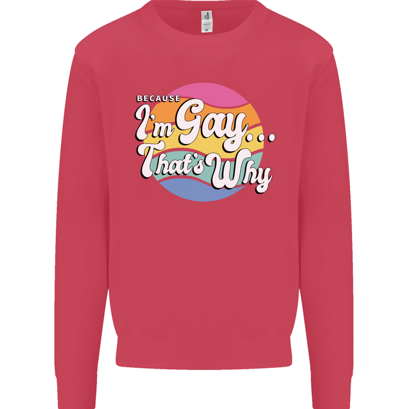 LGBT Im Gay Thats Why Pride Awareness Kids Sweatshirt Jumper Heliconia