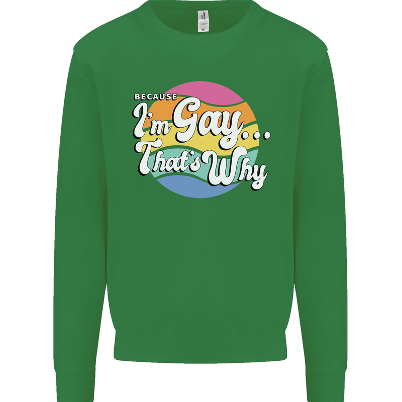 LGBT Im Gay Thats Why Pride Awareness Kids Sweatshirt Jumper Irish Green