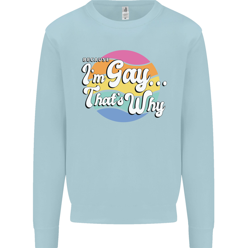 LGBT Im Gay Thats Why Pride Awareness Kids Sweatshirt Jumper Light Blue