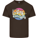 LGBT Im Gay Thats Why Pride Awareness Kids T-Shirt Childrens Chocolate