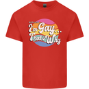 LGBT Im Gay Thats Why Pride Awareness Kids T-Shirt Childrens Red