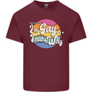 LGBT Im Gay Thats Why Pride Awareness Mens Cotton T-Shirt Tee Top Maroon