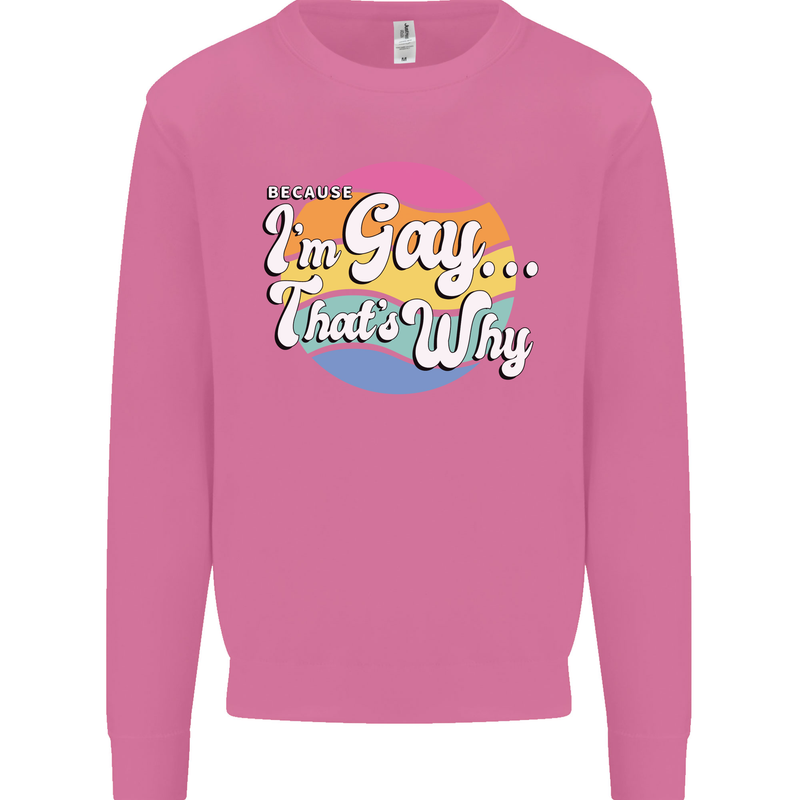 LGBT Im Gay Thats Why Pride Awareness Mens Sweatshirt Jumper Azalea