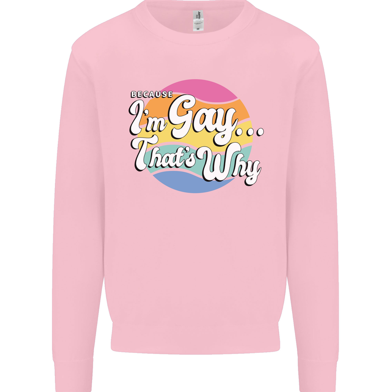 LGBT Im Gay Thats Why Pride Awareness Mens Sweatshirt Jumper Light Pink