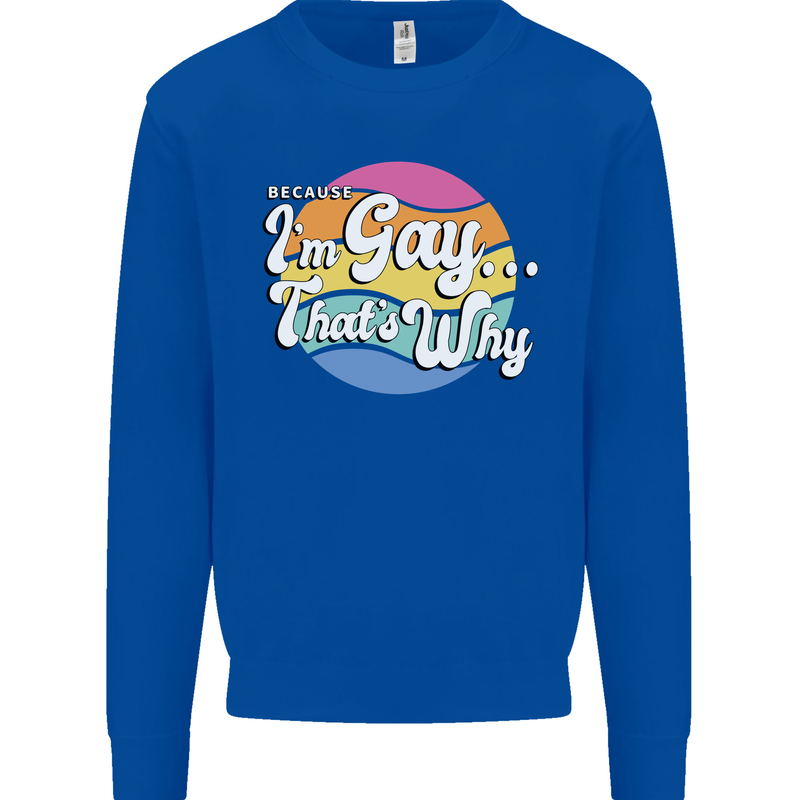 LGBT Im Gay Thats Why Pride Awareness Mens Sweatshirt Jumper Royal Blue