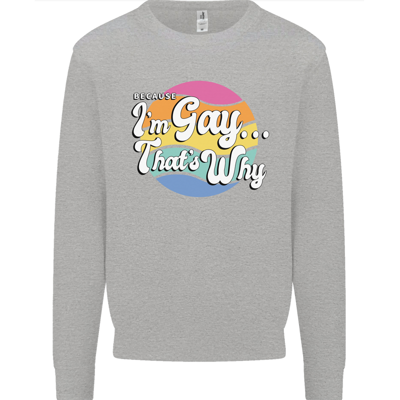 LGBT Im Gay Thats Why Pride Awareness Mens Sweatshirt Jumper Sports Grey