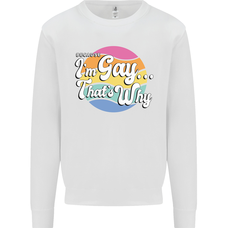 LGBT Im Gay Thats Why Pride Awareness Mens Sweatshirt Jumper White