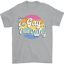 LGBT Im Gay Thats Why Pride Awareness Mens T-Shirt 100% Cotton Sports Grey