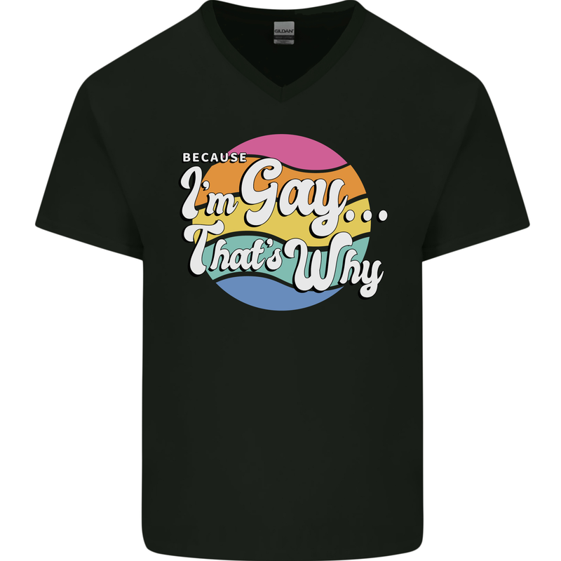 LGBT Im Gay Thats Why Pride Awareness Mens V-Neck Cotton T-Shirt Black