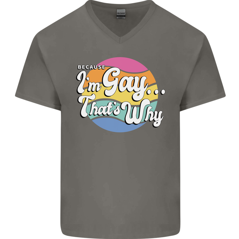 LGBT Im Gay Thats Why Pride Awareness Mens V-Neck Cotton T-Shirt Charcoal