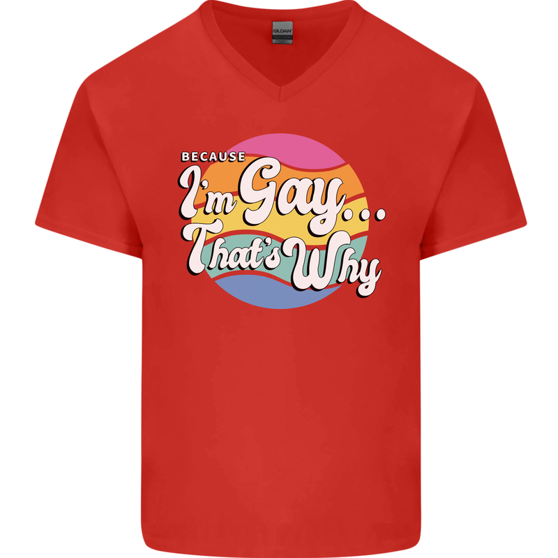 LGBT Im Gay Thats Why Pride Awareness Mens V-Neck Cotton T-Shirt Red