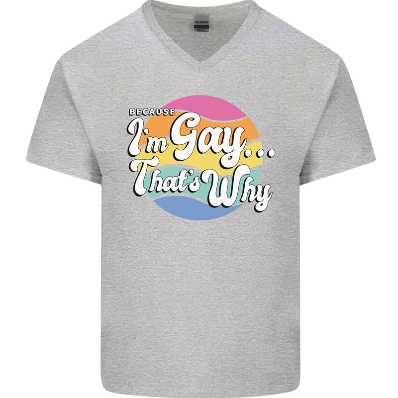 LGBT Im Gay Thats Why Pride Awareness Mens V-Neck Cotton T-Shirt Sports Grey