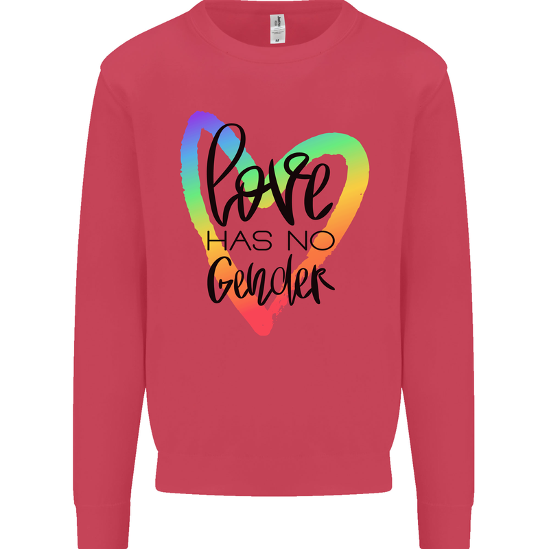 LGBT Love Has No Gender Gay Pride Day Kids Sweatshirt Jumper Heliconia