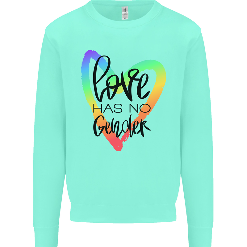 LGBT Love Has No Gender Gay Pride Day Kids Sweatshirt Jumper Peppermint