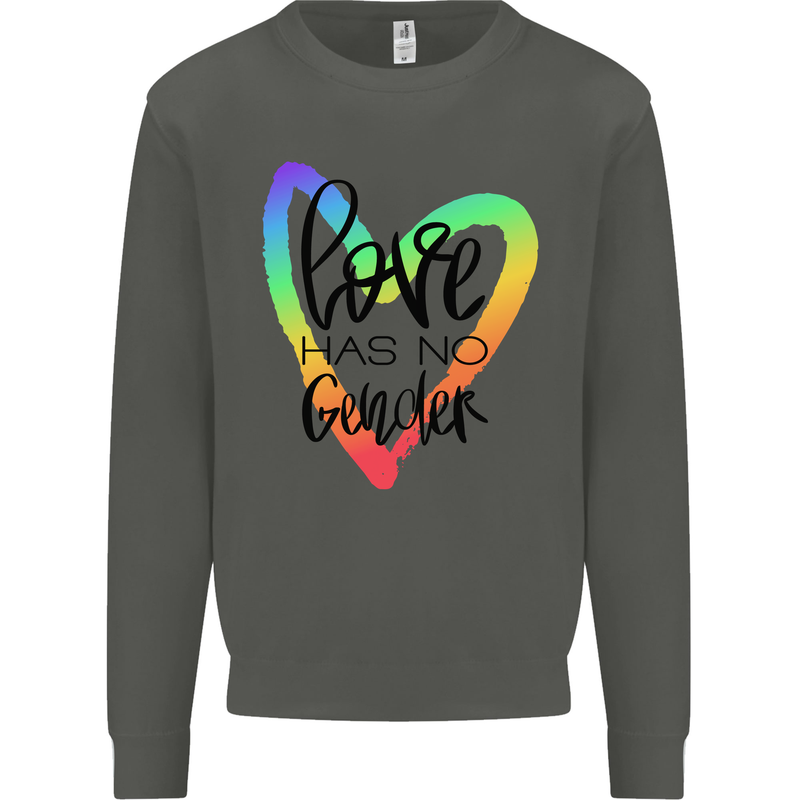 LGBT Love Has No Gender Gay Pride Day Kids Sweatshirt Jumper Storm Grey