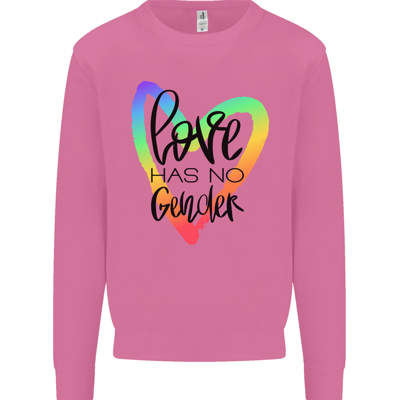 LGBT Love Has No Gender Gay Pride Day Mens Sweatshirt Jumper Azalea