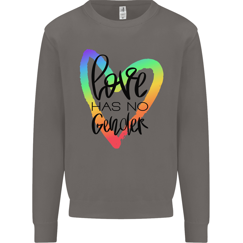 LGBT Love Has No Gender Gay Pride Day Mens Sweatshirt Jumper Charcoal