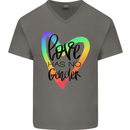 LGBT Love Has No Gender Gay Pride Day Mens V-Neck Cotton T-Shirt Charcoal