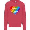 LGBT Love Is Love Gay Pride Day Awareness Mens Sweatshirt Jumper Heliconia