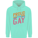 LGBT Pride Awareness Proud To Be Gay Childrens Kids Hoodie Peppermint